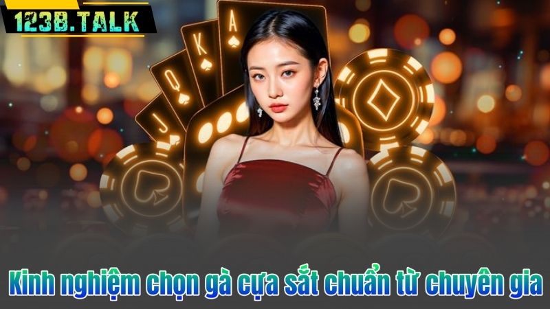 Kinh nghiệm chọn gà cựa sắt chuẩn từ chuyên gia