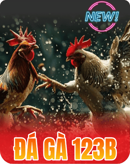 photo đá gà 123b 5