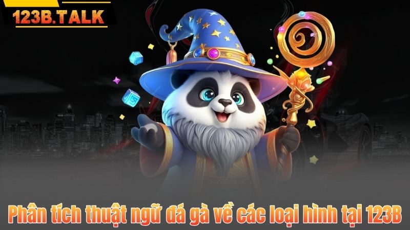 Phân tích thuật ngữ đá gà về các loại hình tại 123B